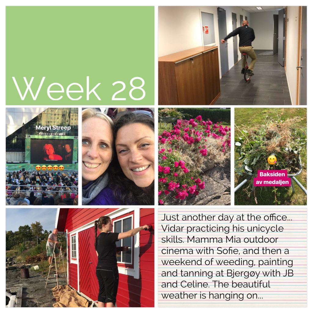 Weekly picture collage week 28