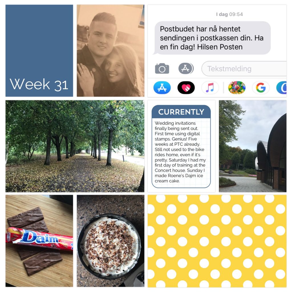 Weekly picture collage week 31