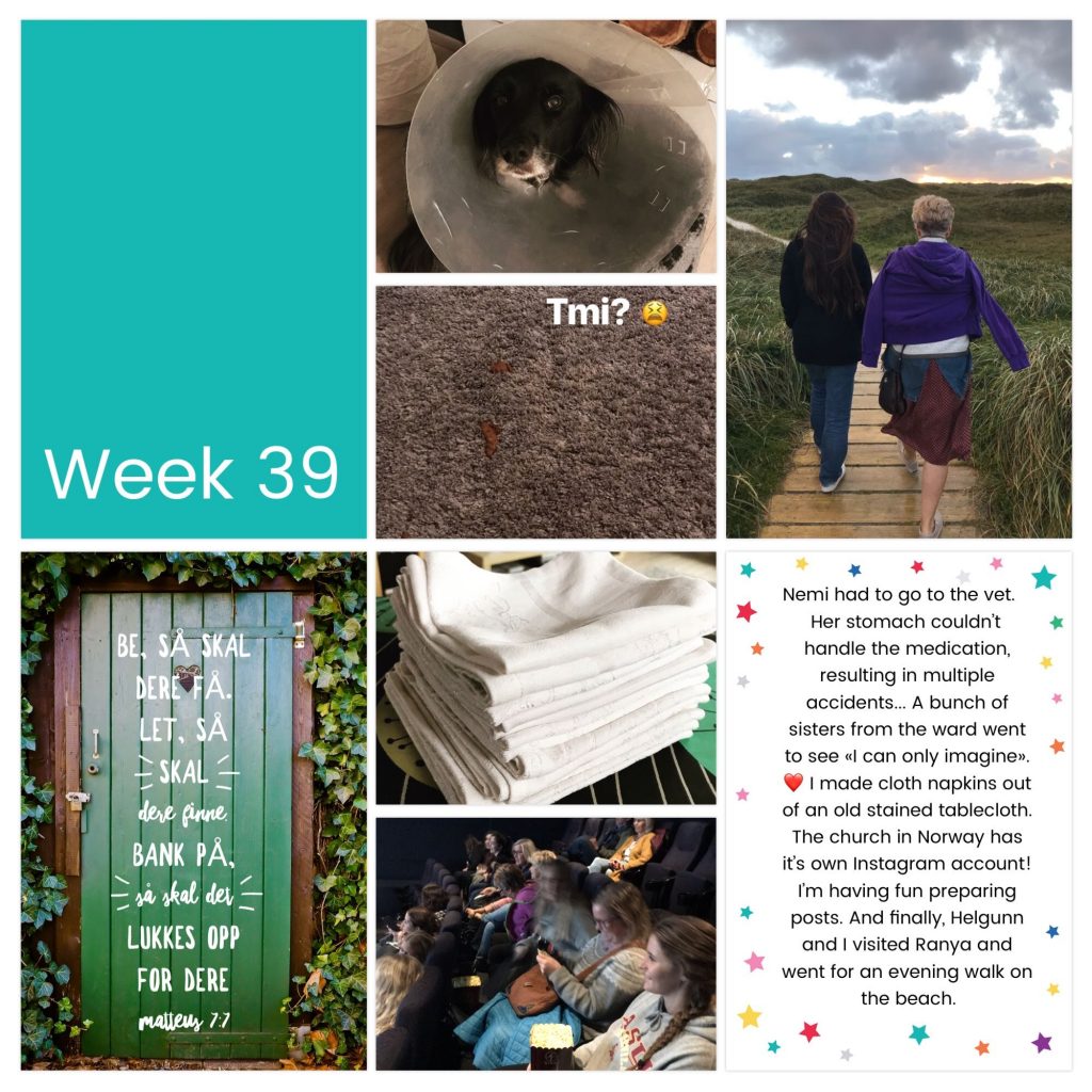 Weekly photo collage week 39